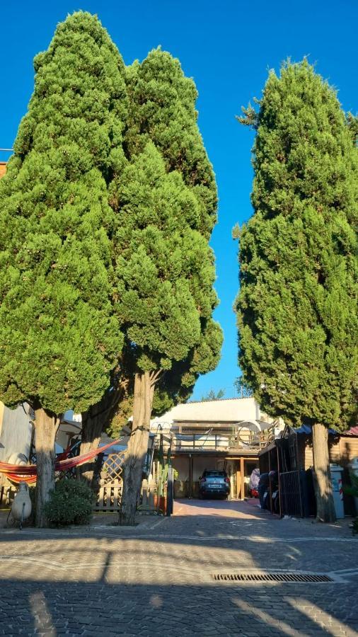 那不勒斯Tabor 2 Garden & Parking公寓 外观 照片